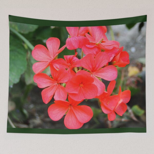 Item preview, pretty small red flowers designed and sold by AlinNova.