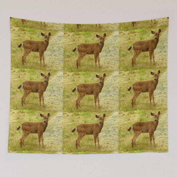 Item preview, Little Deer with spots! designed and sold by Elaine Bawden.