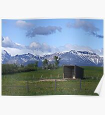 The Shelter Poster