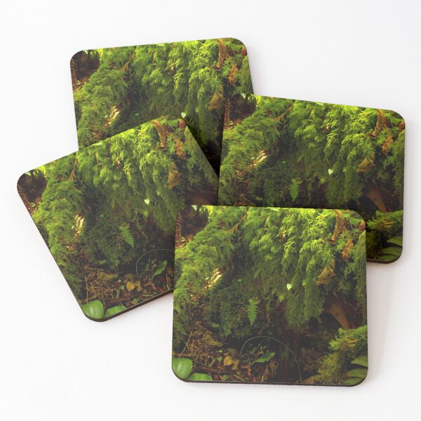 Item preview, MOSSY TREE ROOTS designed and sold by Elaine Bawden.