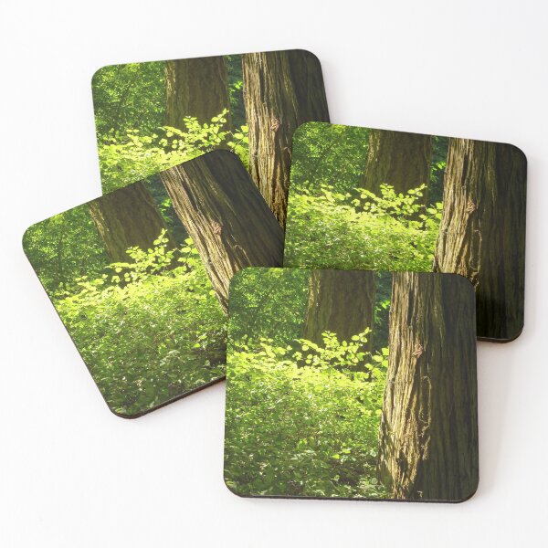 Item preview,  Bathed In Sunlight designed and sold by Elaine Bawden.