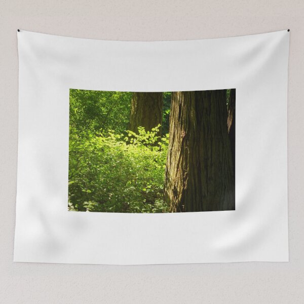 Item preview,  Bathed In Sunlight designed and sold by Elaine Bawden.