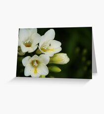 Creepy Crawly Greeting Card