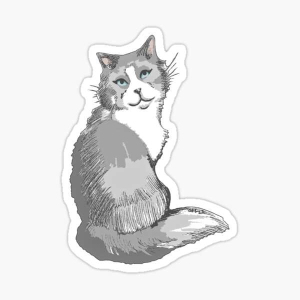 grey-and-white-cat-with-turquoise-sticker-by-abigaildavidson-redbubble