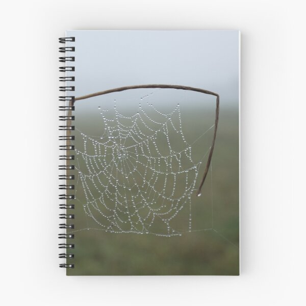 Item preview, A Cobweb on a Blade of Grass designed and sold by Clare Colins.