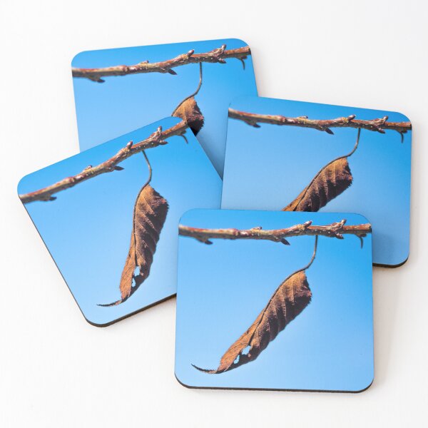 Item preview, Hang in There designed and sold by Clare Colins.