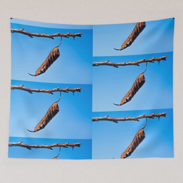 Item preview, Hang in There designed and sold by Clare Colins.