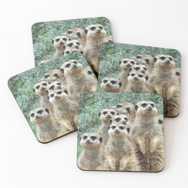 Item preview, Meerkat 012 designed and sold by JAMFoto.