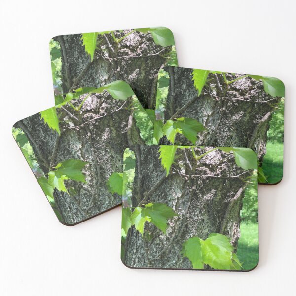 Item preview, Bark and Leaves designed and sold by Trendature Online .