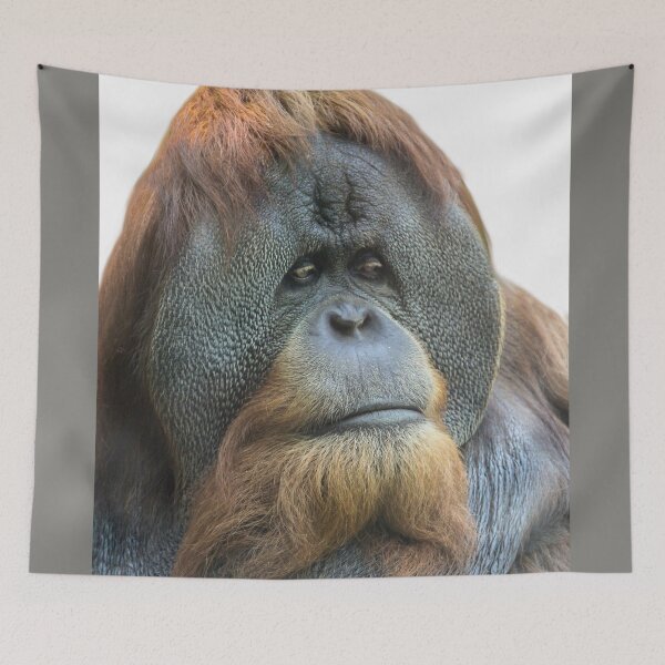 Item preview, SATU, Sumatran Orangutan designed and sold by heatherfriedman.