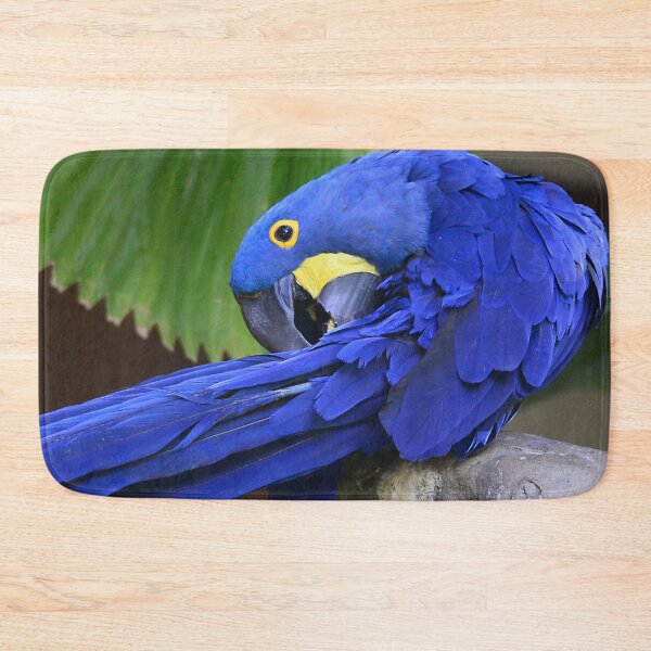 Item preview, Hyacinth Macaw Preening Its Feathers Art Photo designed and sold by DEC02.