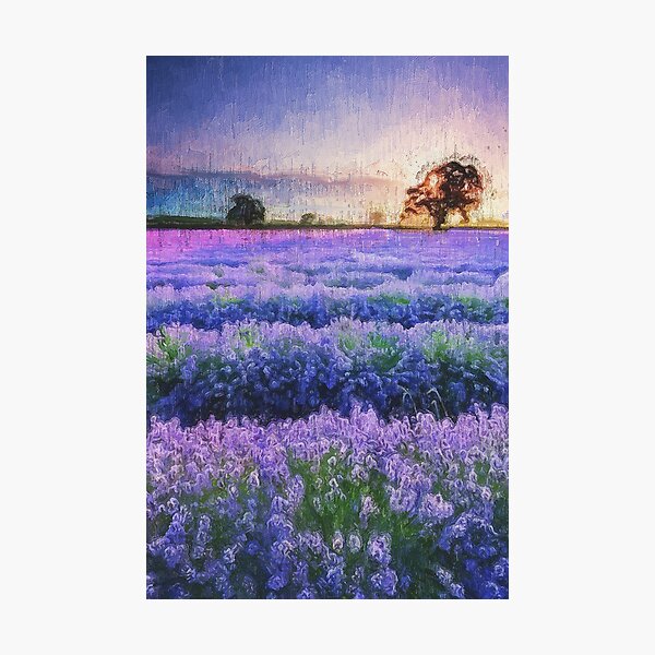Item preview, Lavender fields designed and sold by AM FineArtPrints.