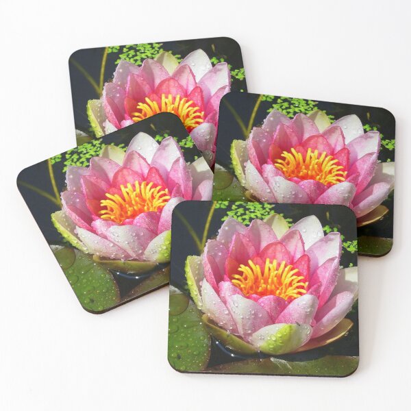 Item preview, Water Lily Flower designed and sold by ienemien.
