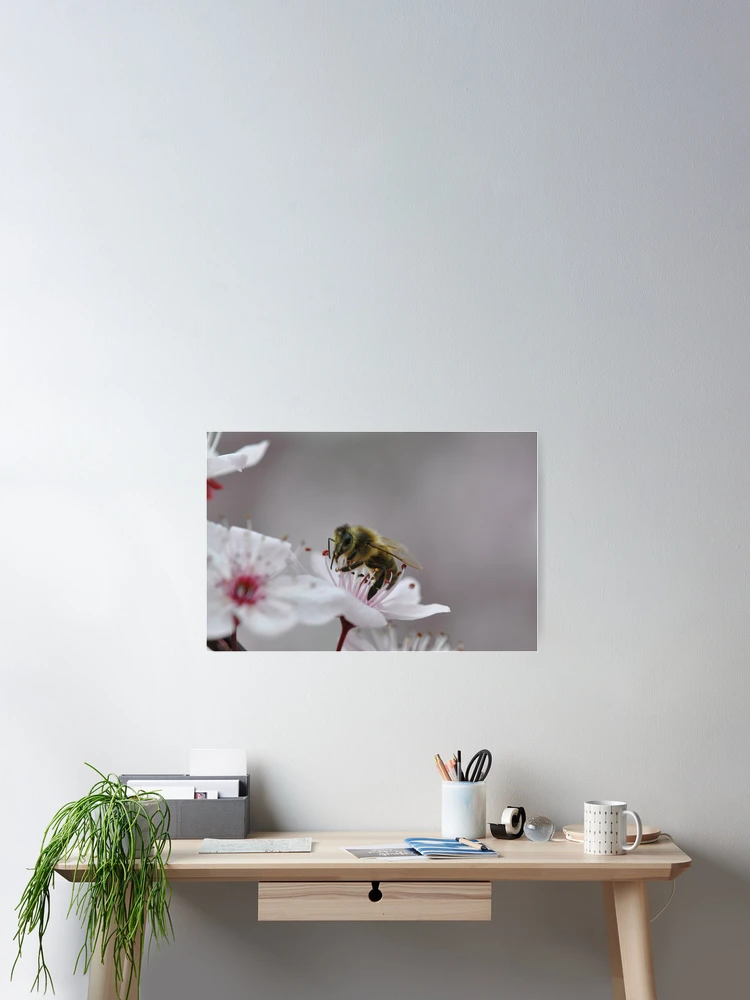 Thumbnail 2 of 3, Poster, Spring Collection designed and sold by MissyD.
