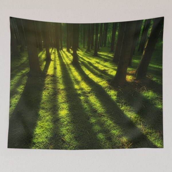 Item preview, Relaxing Forest designed and sold by Eclipse35.