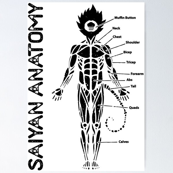 Item preview, Monkey Man Anatomy designed and sold by Be More Shonen |  Chris Minney.