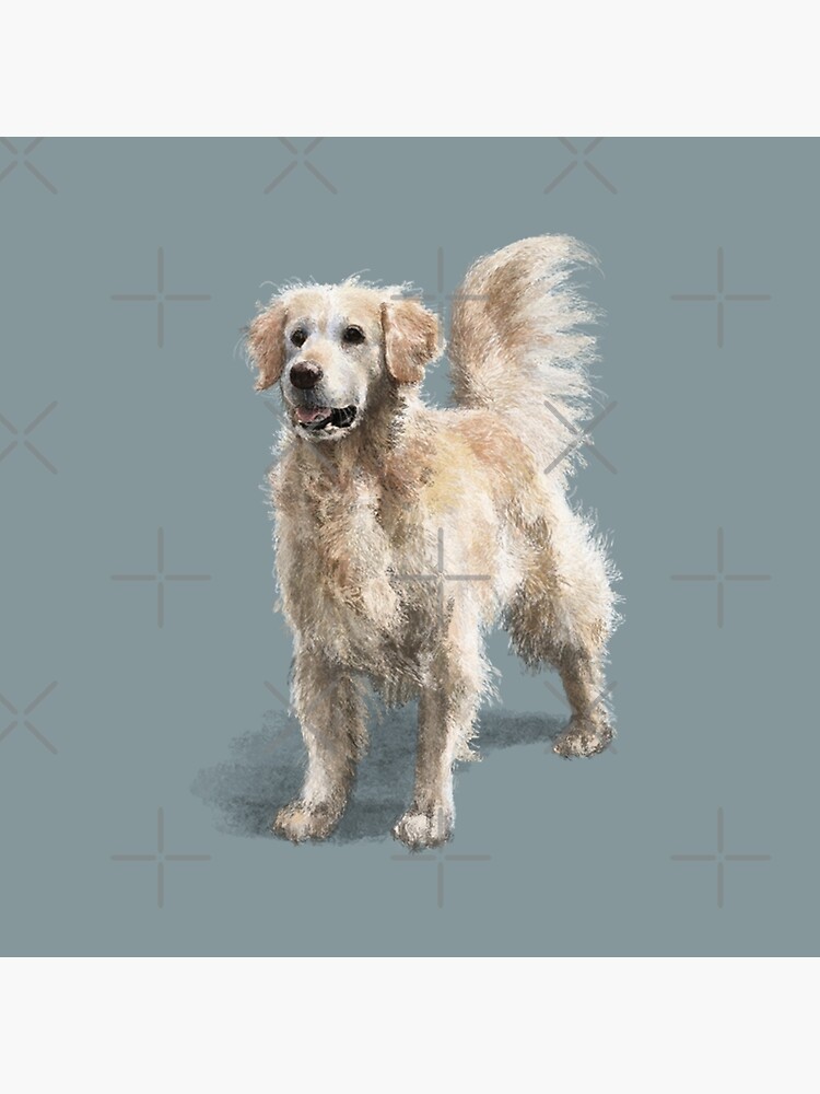 golden retriever bear