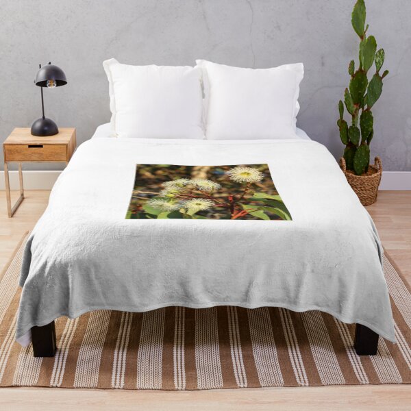 Item preview, Eucalyptus gomphocephala designed and sold by DPalmer.