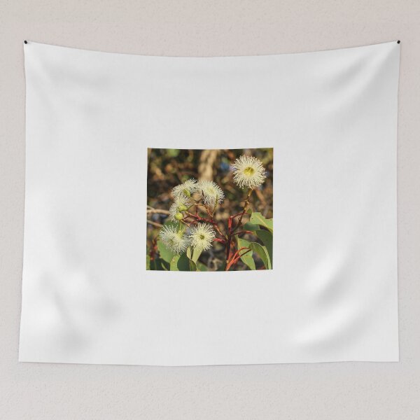 Item preview, Eucalyptus gomphocephala designed and sold by DPalmer.