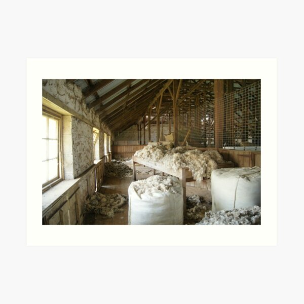 Woolshed in colour Art Print