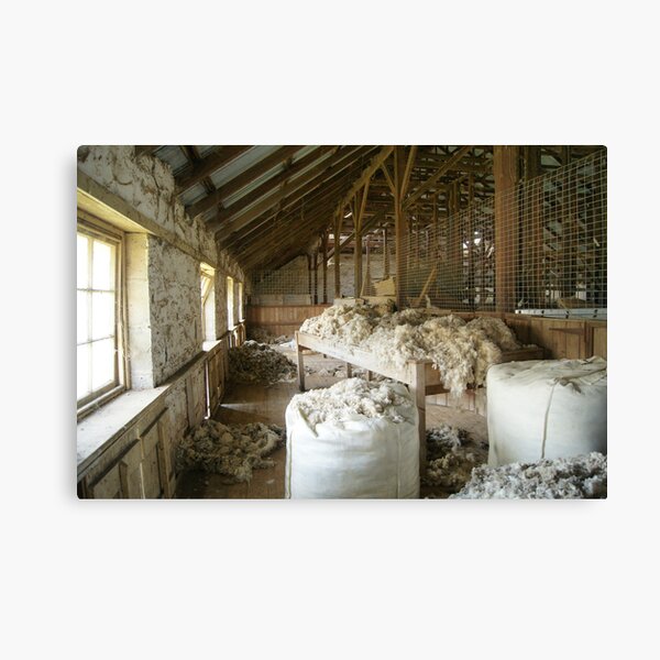 Woolshed in colour Canvas Print