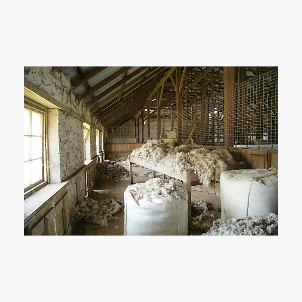 Woolshed in colour Photographic Print
