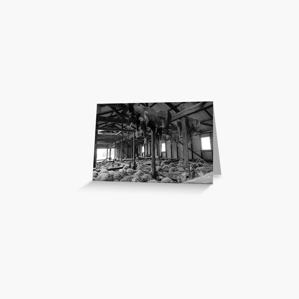 Shearing Shed Lismore Vic Greeting Card