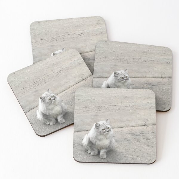 Item preview, a grey fatty cat designed and sold by jihyelee.