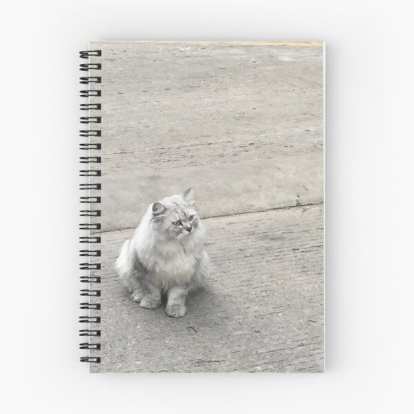 Item preview, a grey fatty cat designed and sold by jihyelee.