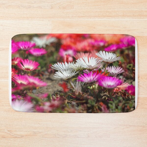 Item preview, White & pink livingstone daisies designed and sold by GreyFeatherPhot.