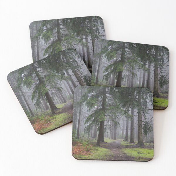 Item preview, Bolderwood, New Forest designed and sold by Tasha Harding Photography.