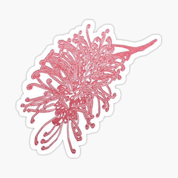 Item preview, Australian Native Floral Illustration - A Beautiful Pink Grevillea Flower designed and sold by Annalee Beer.