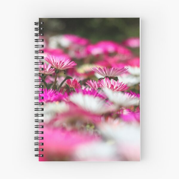 Item preview, Livinstone daisies designed and sold by GreyFeatherPhot.