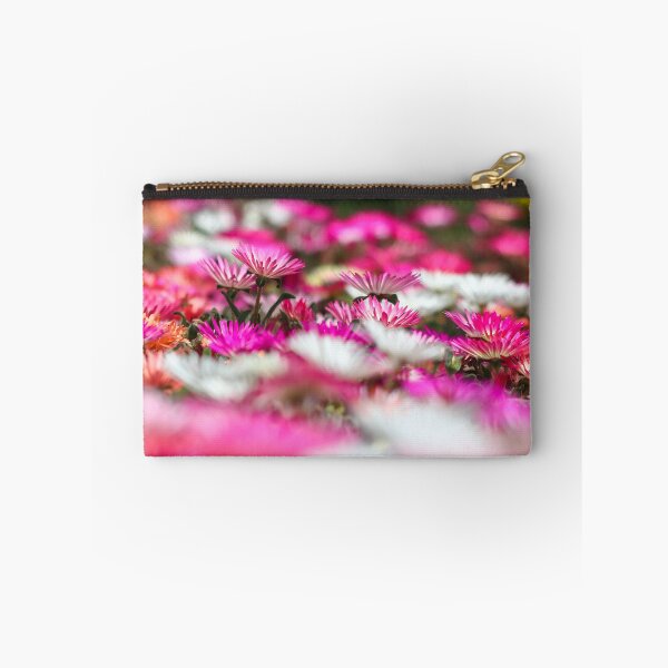 Item preview, Livinstone daisies designed and sold by GreyFeatherPhot.