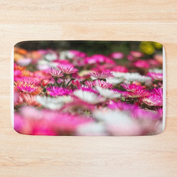 Item preview, Livinstone daisies designed and sold by GreyFeatherPhot.