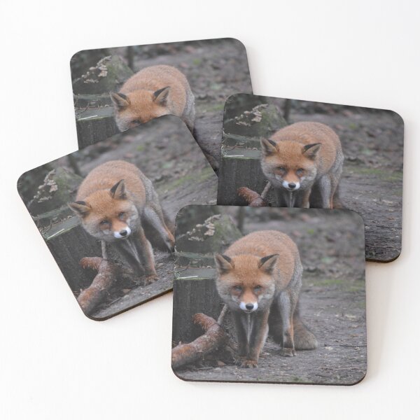 Item preview, Wild Fox designed and sold by Tasha Harding Photography.