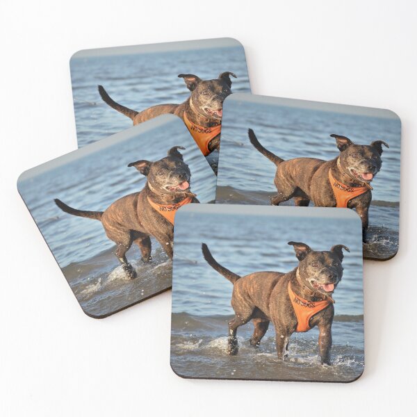 Item preview, Staffordshire Bull Terrier designed and sold by Tasha Harding Photography.