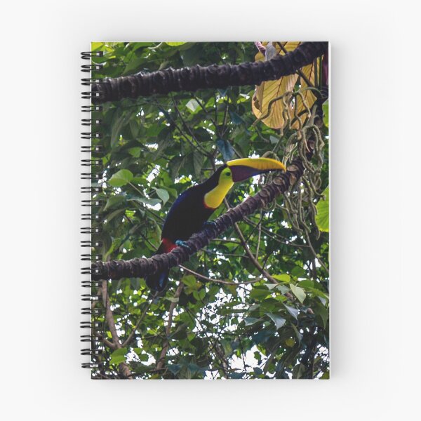 Item preview, Costa Rican Toucan designed and sold by darren-j-mcleod.