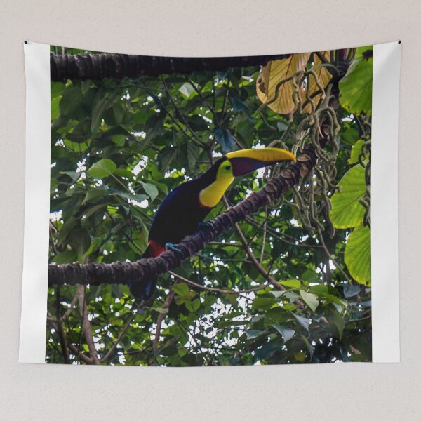 Item preview, Costa Rican Toucan designed and sold by darren-j-mcleod.