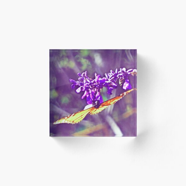 A Butterfly's Perspecitve Acrylic Block