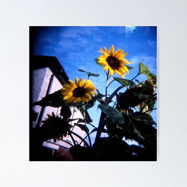 Item preview, Just Someflowers Doing Their Thing And Doing It So Well designed and sold by rorycobbe.