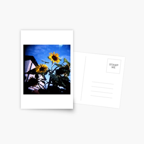 Item preview, Just Someflowers Doing Their Thing And Doing It So Well designed and sold by rorycobbe.