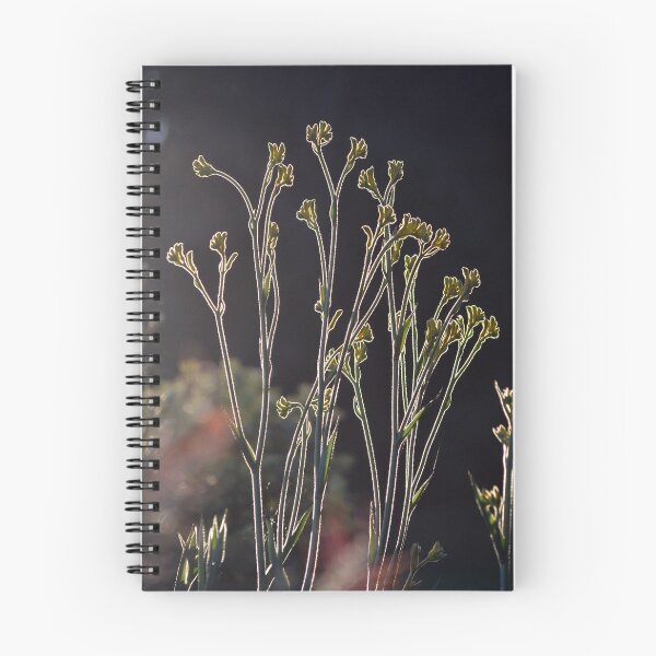 Item preview, Kangaroo Paw Illuminated II designed and sold by Cloudlingpics.