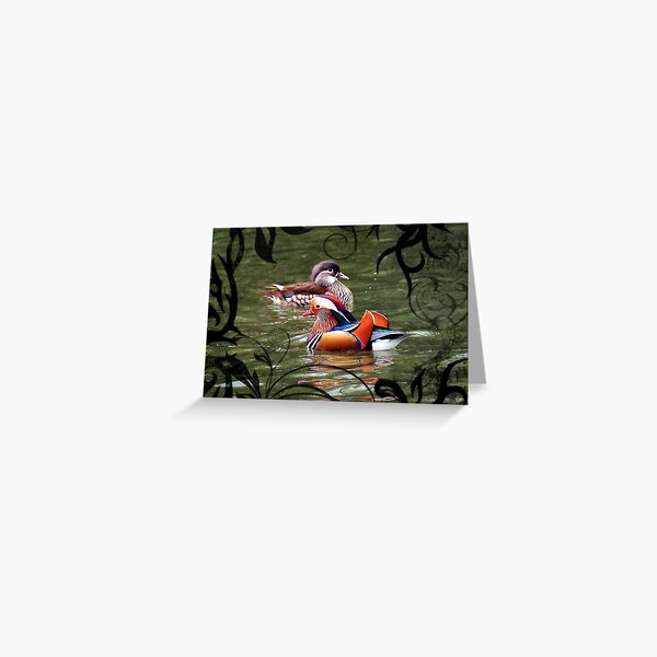 A pair of mandarin ducks Greeting Card