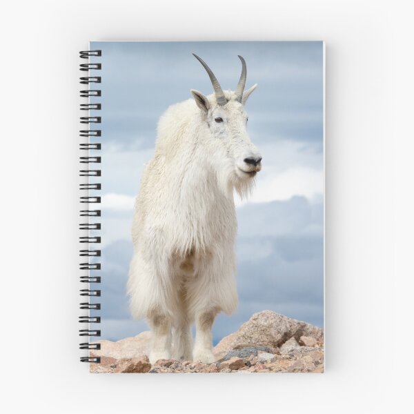 Item preview, Mountain Goat portrait designed and sold by Eivor Kuchta.