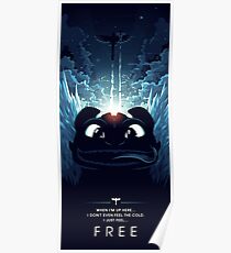 How to Train your Dragon 2 - Freedom Poster