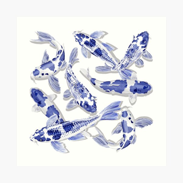 Blue and white Koi fish Art Print