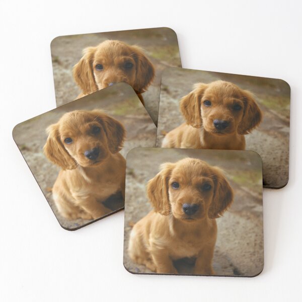 Aperçu de l'œuvre Cocker Spaniel Puppy créée et vendue par kristiART.