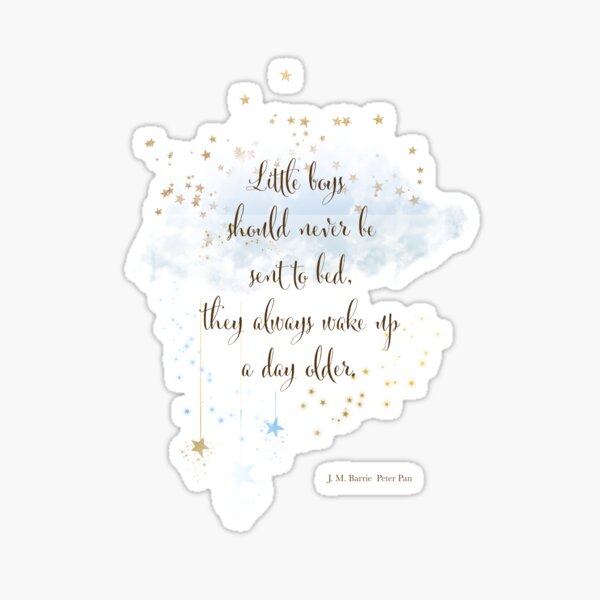 Little Boys Should never be sent to bed Sticker