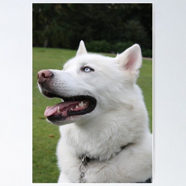 Item preview, White Wolf designed and sold by Maggie Lowe.